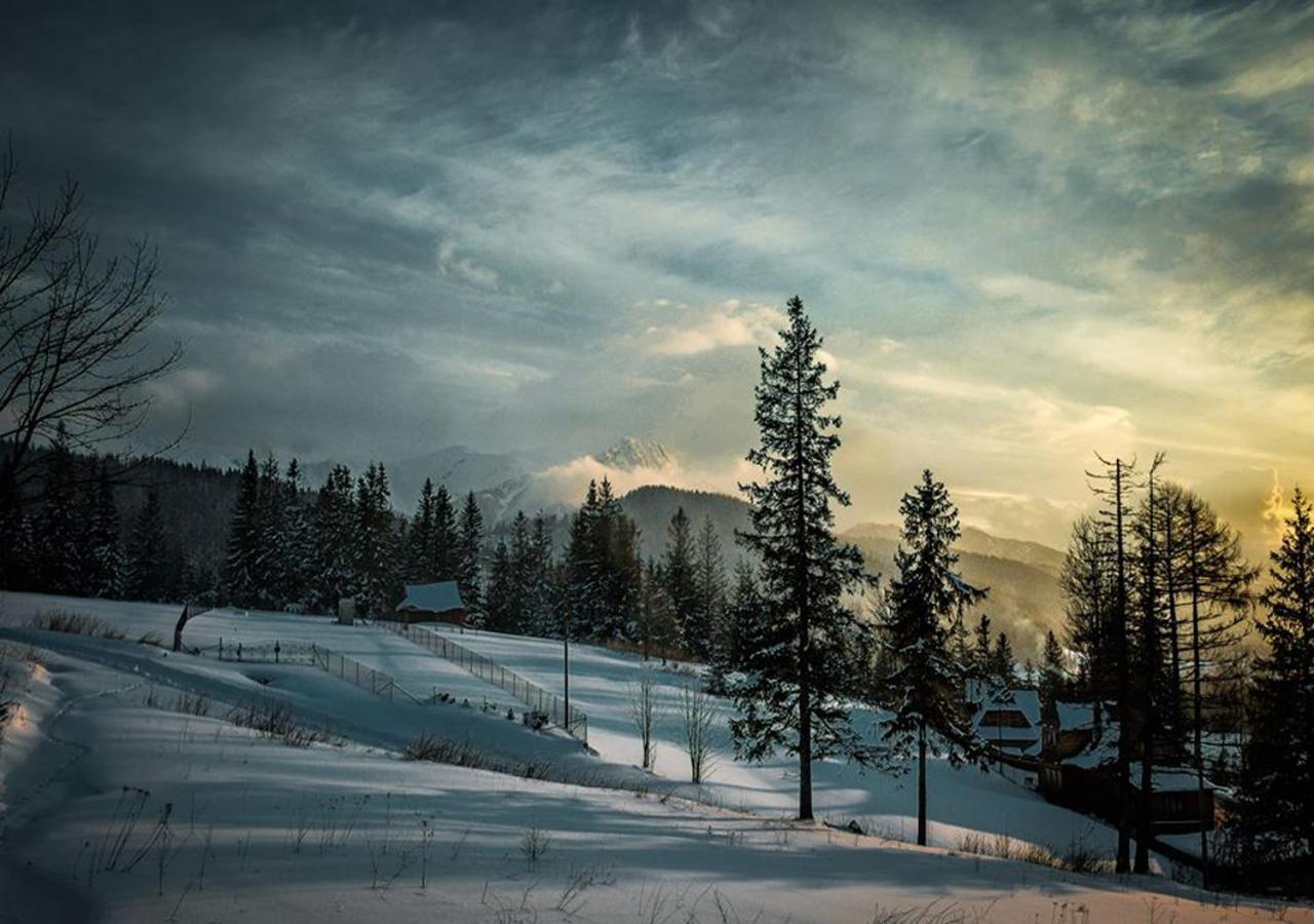Apartamenty Toporowa Cyrhla Zakopane Dış mekan fotoğraf